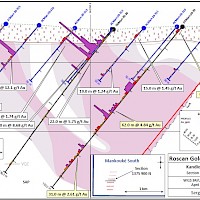 Kandiolé - Section 1375 900N April 30, 2020